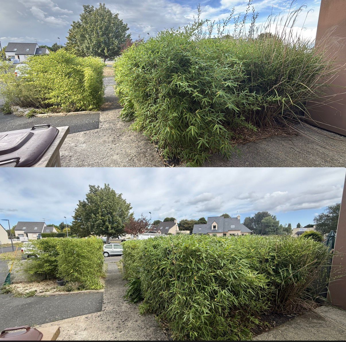 Taille en pagaille, Brest, réalisé par Antoine Machacek