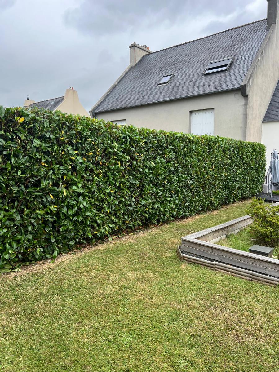 Chantier d'entretien de jardin réalisé par Antoine Machacek, paysagiste du réseau Factotum, près de Brest 